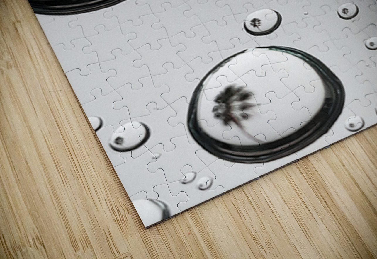 Palm Tree Thoughts One 41.55 Peter Jordan Puzzle