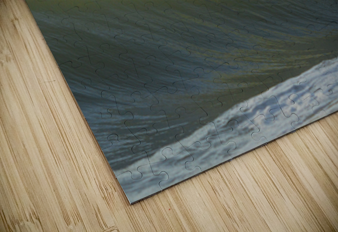 Fish Shadows  48.32 Peter Jordan Puzzle