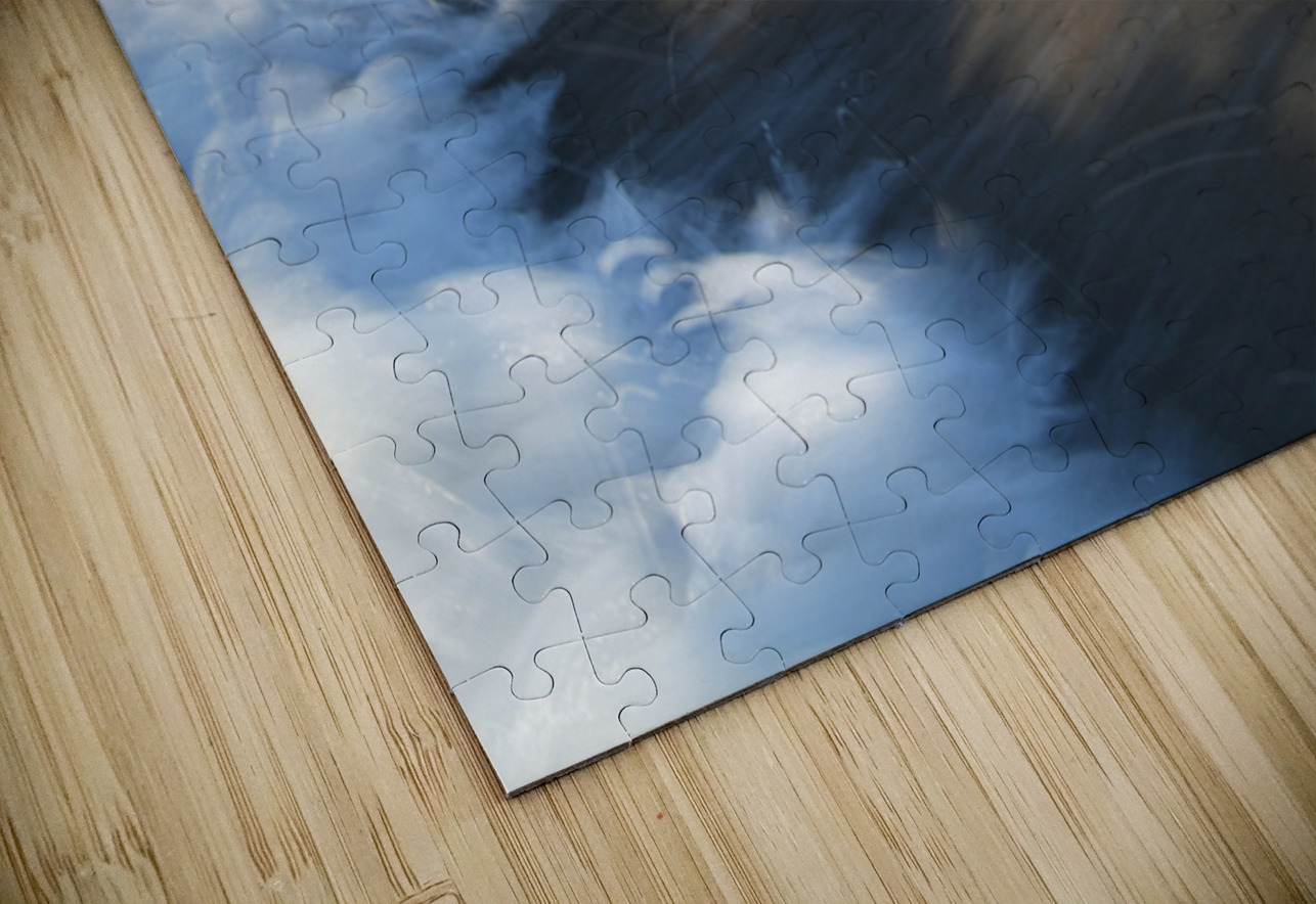 Momentary Shadows 72.48 Peter Jordan Puzzle